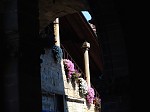 dsc05218.jpg