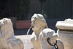dsc_7835.jpg