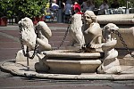 dsc_7839.jpg