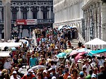 dsc05231.jpg
