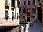 dsc05972.jpg