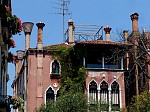 dsc05976.jpg