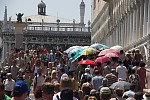 dsc_7924.jpg