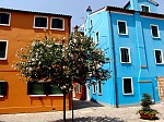 dsc05530.jpg