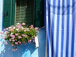 p1020167.jpg