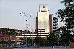 ant_3599.jpg
