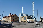 ant_3844.jpg