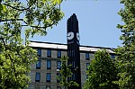 ant_3987.jpg