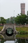 ant_4955.jpg