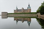 ant_4970.jpg