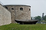 ant_4996.jpg