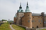 ant_5007.jpg
