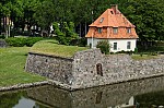 ant_5012.jpg