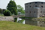 ant_5018.jpg