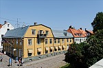 ant_5065.jpg