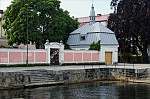 ant_4896.jpg