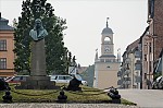 ant_4904.jpg