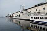 ant_4928.jpg