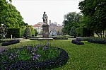 ant_4934.jpg