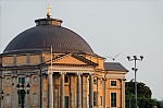 ant_4946.jpg