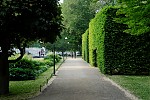 dsc_9931.jpg