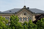 ant_3505.jpg