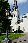 ant_3515.jpg
