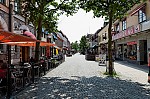 ant_4845.jpg