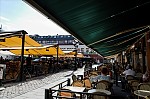 ant_5085.jpg