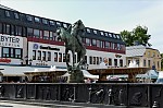 ant_5088.jpg