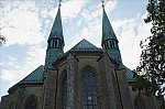 ant_5100.jpg