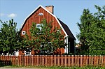 ant_5198.jpg