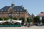 ant_4289.jpg