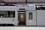 ant_3999.jpg