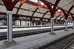 ant_4000.jpg