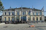 ant_4019.jpg