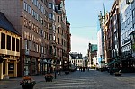 ant_4099.jpg