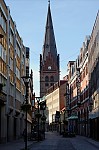 ant_4103.jpg
