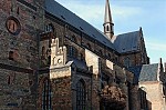 ant_4117.jpg