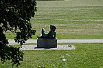 ant_4389.jpg