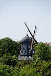 dsc_9402.jpg