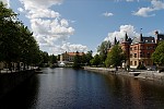 dsc_8301.jpg
