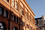 dsc_3786.jpg